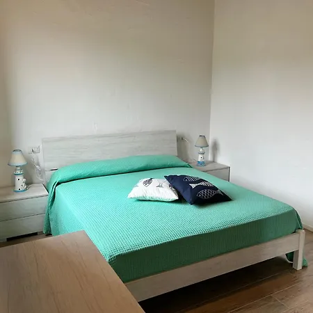 Wild Apartment *